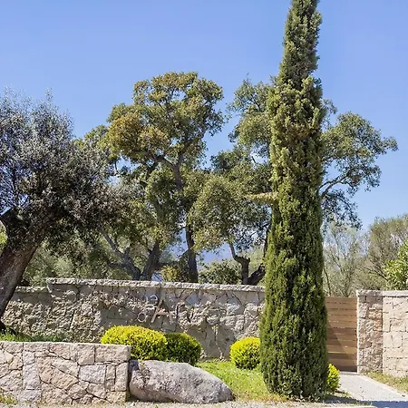 Domaine D'Arca - Flaubert 17 - 4 Pers Daire Porto-Vecchio (Corsica)